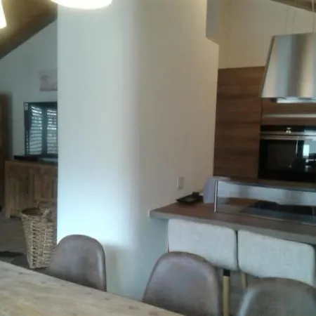 Blomatu Ii Floor * Saas Fee